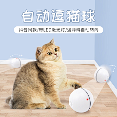 胖酱你要万福喔采集到宠物/主图