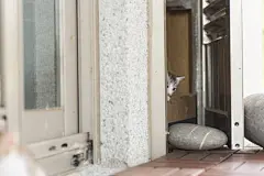 点击来源直接获取大图文件 |baby cat walk
