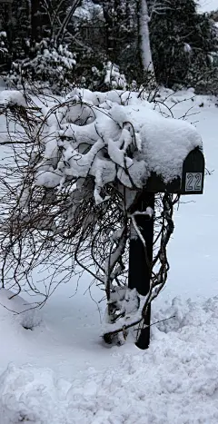 暴雪之后看雪景