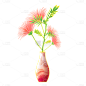 中国风植物花卉贴纸-合欢花