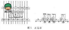 Jcdnwz采集到肉丁网DIY