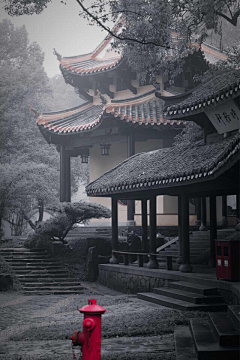 雪珂虫采集到中国古建筑