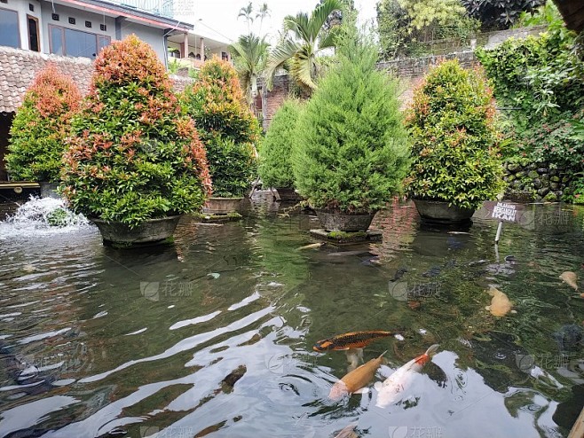 鱼池_5257680763