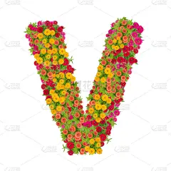 字母V由百日菊组成的字母表ABC概念型为标志。排版设计与剪切路径