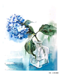 国外插画师Elena Moroz写实水彩花卉植物蔬菜手绘临摹素材图162张-淘宝网