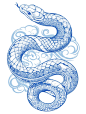 图案设计 | 蛇线稿 | 生肖蛇 - 小红书