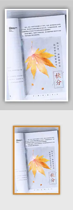 书本文艺清新秋分创意海报