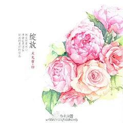 凑九张近期的手绘植物系列，中式水彩插画，花叶与诗词。（作者： @木龙蕾 ） ​
