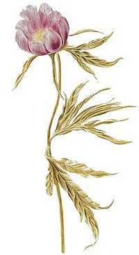 插画/手绘 - 插画图片，手绘图片，手绘墙 - 堆糖