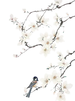 枝鸟