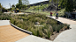 Ricardo Lara Park - : Ricardo Lara Park represents the transformation of 5.25 acres of vacant lots along an I-105 freeway embankment into a mile-long park that addresses the needs of the community. SWA collaborated with the nonprofit From Lot to Spot to c