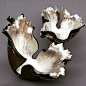 (68) Pinterest