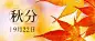 通用秋分节气祝福文艺感公众号首图