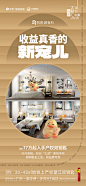 五一价值稿5
