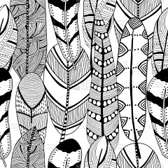 华丽的,羽毛,黑白图片,野生动物,壁纸,翅膀,现代,自然美,动物,复古