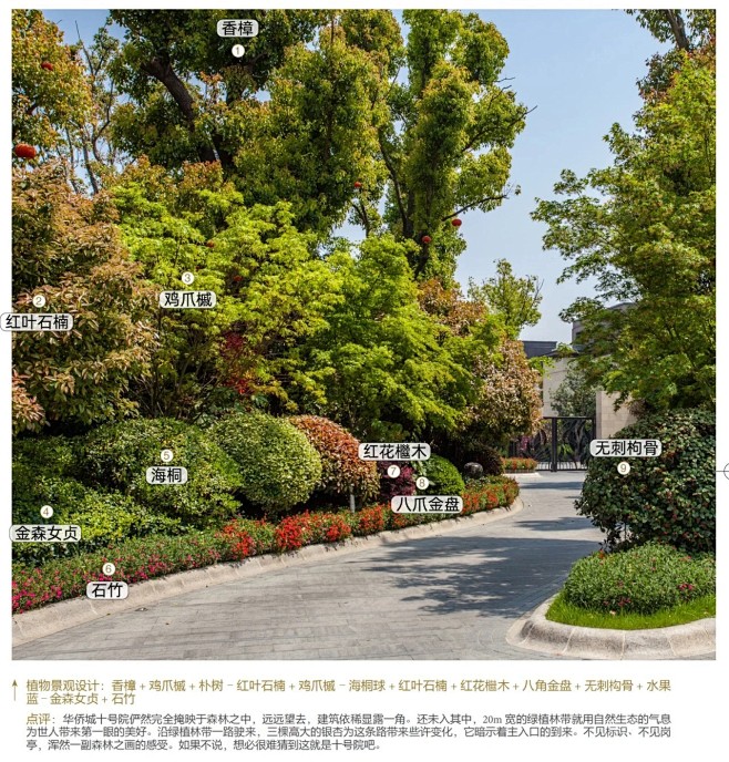 植物配置实景 (7)