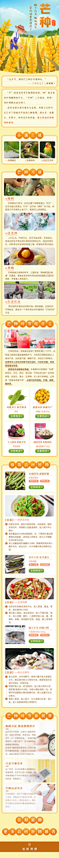 #专题页面#二十四节气-芒种