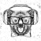 海报插图音乐手绘素描风格头戴耳机的动物头像AI矢量设计  (6)