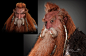 Weta Workshop Design Studio Services » Weta Workshop