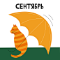 Календарь "12 Васиков"