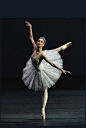 Sergei Filin returns to the Bolshoi