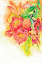 石榴花花语:成熟的美丽 喜欢此花的你朴实无华的生活方式,给人一种老气、过时的感觉,但不要紧,这只是平庸者... illustrations