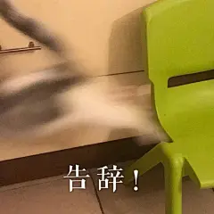 是模糊表情包
不是你老花眼 ​​​​