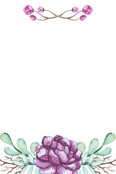 粉色牡丹png背景图