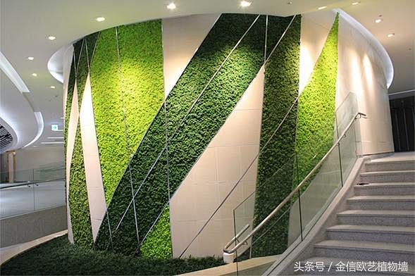不会凋谢的植物墙——永生苔藓墙