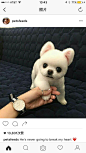 来自相册