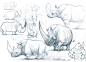 Rhino design sketchbook page, Edin Durmisevic : Rhino design sketchbook page by Edin Durmisevic on ArtStation.