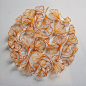叶脉刺绣---澳洲的艺术家Meredith Woolnough有特别的刺绣技巧，她在特制的大幅布面上缝纫刺绣，这种底布在水中会消融不见，只留下刺绣的纹理。这个过程很像自然界中树叶或者珊瑚的生长和衰老，这也是艺术家多年收集枯叶的过程得到的启发，并由此提炼出表达的设计概念：皮不存，骨仍美。