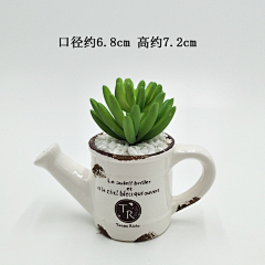 蘑菇塔罗采集到植物