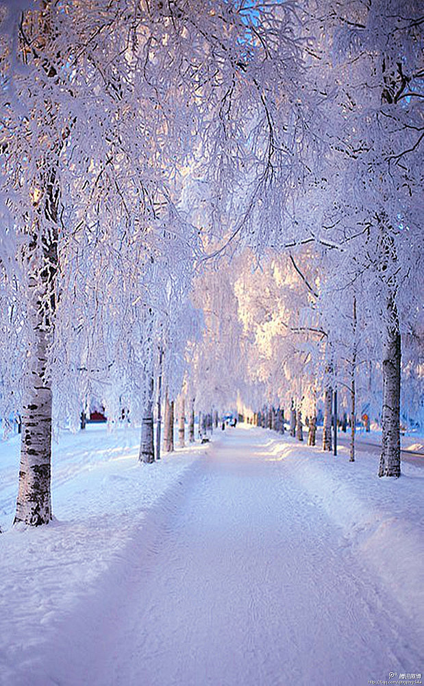 雪景——旋扑珠帘过粉墙，轻于柳絮重于霜落...