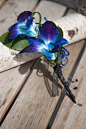 Blue orchid wedding flower boutonniere, groom boutonniere: 