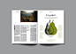 T magazine on Behance