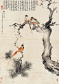 颜伯龙——花鸟画  |   
颜伯龙（1898—1955），名云霖，字伯龙（以字行），号长白布衣，所居椿草堂。满族，正黄旗，北京人。师从陈师曾、王梦石等名师，为王梦石入室弟子。民国时期京津画派著名的花鸟画家，工山水、人物、翎毛、走兽。作品别具一格，超脱凡俗。