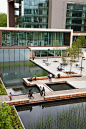 科技园区景观规划设计Bill and Melinda Gates Foundation Campus_景观设计_ZOSCAPE-园林景观设计意向图库|园林景观学习网 -