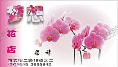 鲜花名片 【酷图网】鲜花名片,中国风名片,画廊名片,山水画名片,古典名片,水墨名片,花鸟名片,婚庆名片,水彩画名片,花店名片,高档名片,高档名,片设计,高档名片模版,高档名片背景,公司高档名片,企业高档名片,简约高档名片,大气高档名片,尊贵高档名片,玫瑰花名片,时,尚高档名片,花纹高档名片,经典高档名片,名片模板