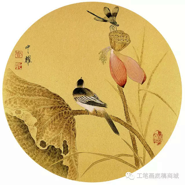 欣赏周中耀工笔花鸟小品40幅张张精彩