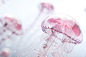 Jellyfish Rise : In this project I undertook a challenge to see what I could create using Modo and photoshop. I wanted to create something organic in both shape and texture. Jellyfish were perfect. They're complex and multi-layered, which made it difficul