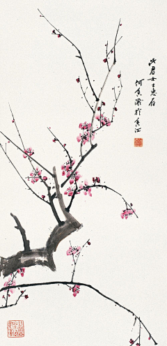 用户t0GCXivn采集到花鸟