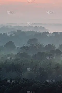 清晨在雾霾笼罩下俯瞰森林的神秘景色。在黎明前的天空下，针叶林中树木轮廓的层层迷雾。早晨大气简约的壮丽