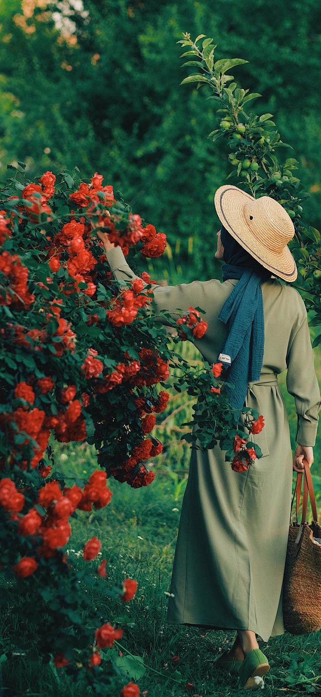#摄影（花）#