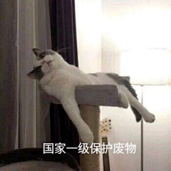 猫的树＿采集到俺收藏的小表情