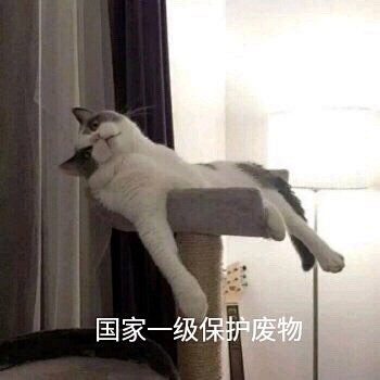 沙雕表情包