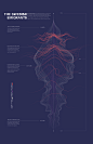 Infographic Swedish emigrants : This is an Infographic that shows a part of Swedens history, a history that a lot of europeans share. The illustration is inspired by the currents and streams of the Atlantic Ocean on which these brave men and women travled