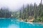 body of water beside green trees with fogs