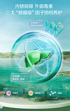 kFrQw2wK采集到肝