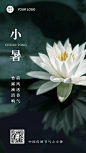 小暑节气祝福排版手机海报